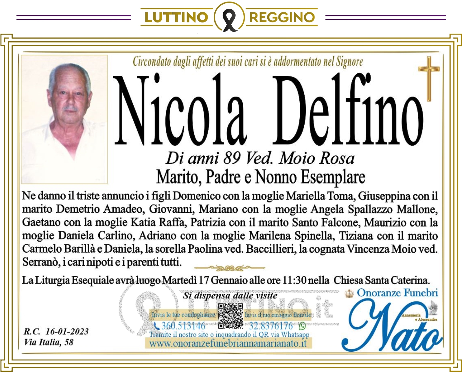 Nicola  Delfino 
